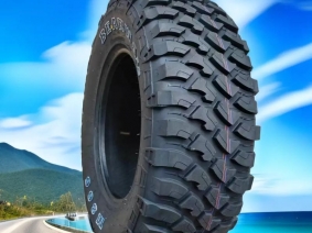 LT009