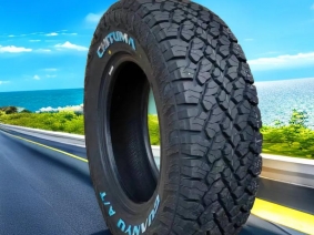 LT008