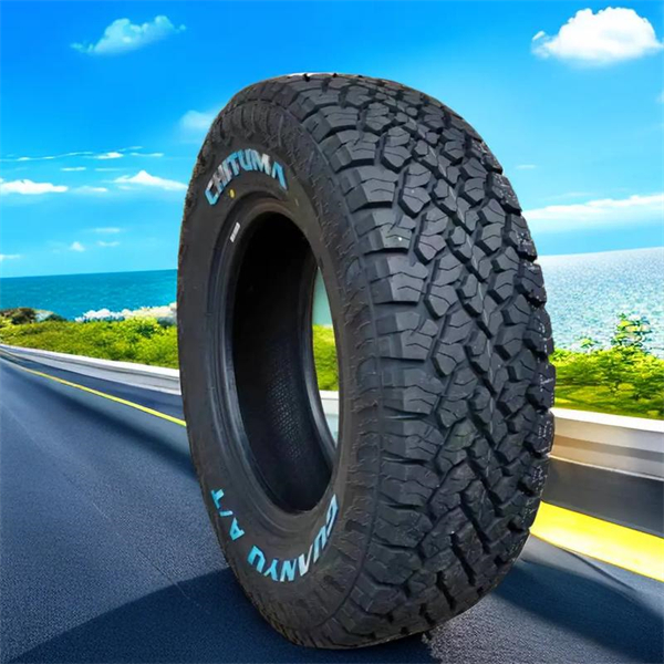 TIRE (24)